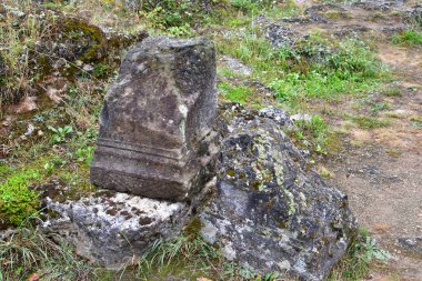 Bahçede bir taş ve bir taş