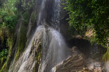 Ormanda güzel bir şelale