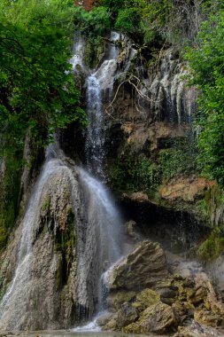 Ormanda güzel bir şelale
