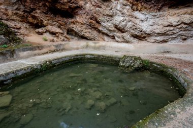 Parktaki gölün güzel manzarası