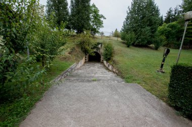 Ormanın ortasında taş bir merdiven.