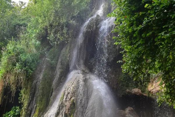 Ormandaki şelaleler