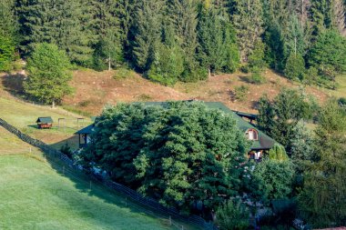 Ormandaki ahşap bir ev manzarası
