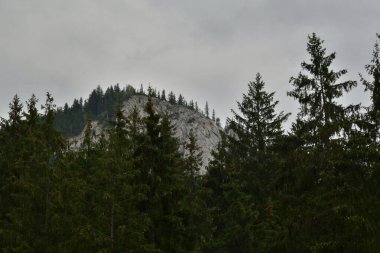 Karpat Dağlarının güzel sıradağları, Slovakya