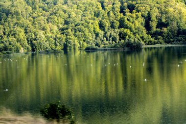 Güzel göl manzarası