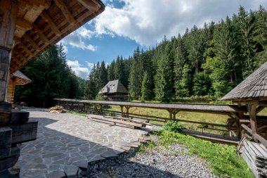 Ormandaki eski ahşap ev