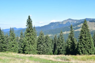 Karpatların güzel manzarası