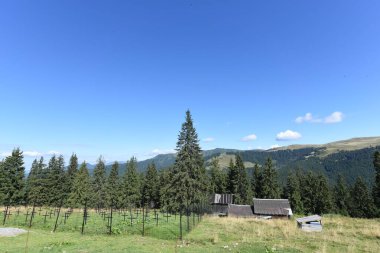 Karpat Dağları 'nın Manzarası