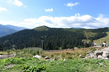 Karpat dağlarındaki dağ manzarası