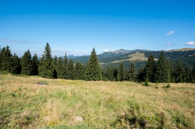 Ukrayna Karpatları 'nda yaz dağı manzarası