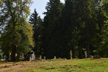 Eski Vyborg, Rusya 'nın antik mezarlığı.