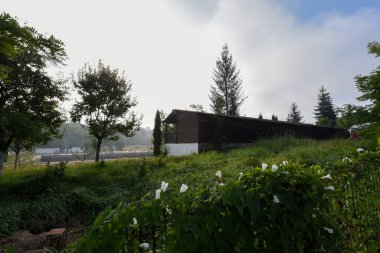 Parkın güzel manzarası