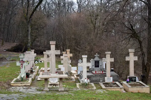 Hřbitov Starého Židovského Hřbitova Ivově Ukrajinština Evropa — Stock fotografie
