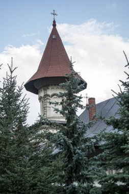 Üzerinde ağaç olan ortodoks kilisesi..