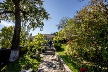 Parktaki eski ahşap köprü