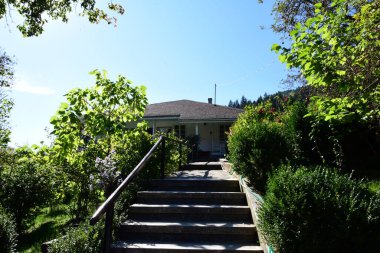 Parkın güzel manzarası