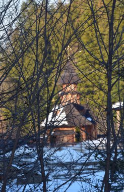 Kış ormanı, karla kaplı ağaçlar, doğa
