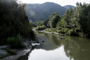 ormanda güzel bir nehir