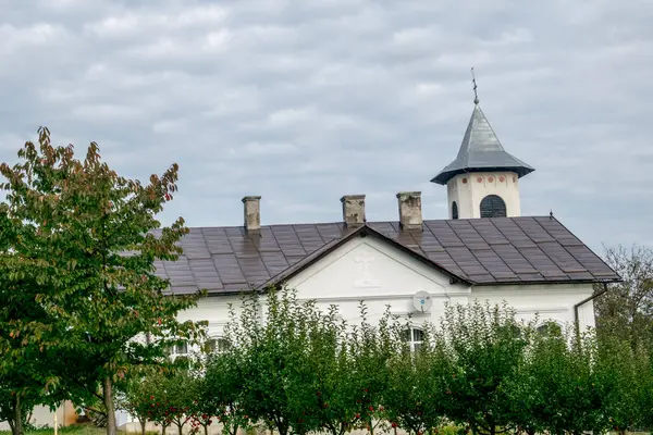 St. George Kilisesi 'nin arka planında yeşil çimenler ve köyde bir ağaç var..