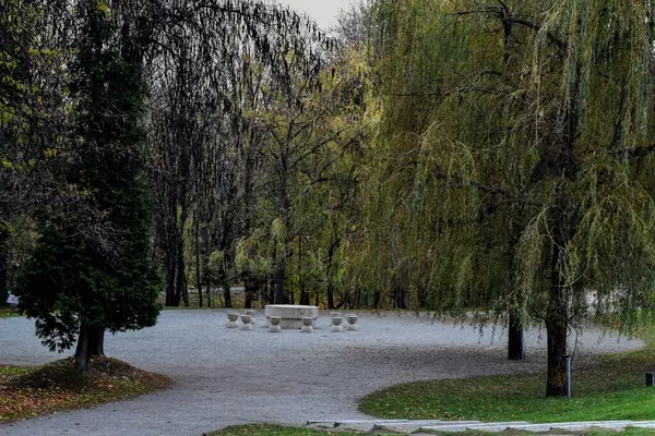 Sonbahar ağaçlarıyla park ve bank