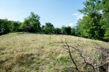 Yaz, İspanya 'nın Primorvo köyünde