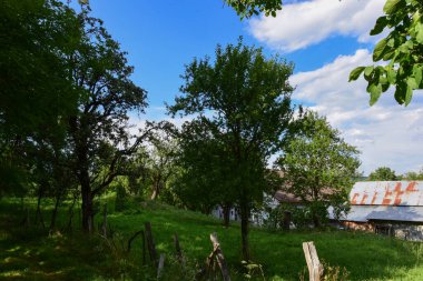 Köyün güzel manzarası