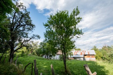 Ormanda ahşap çitler