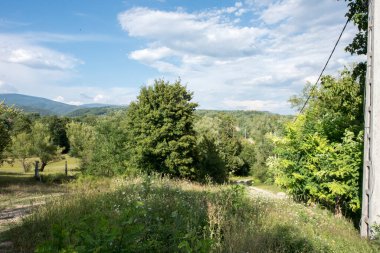 Arkasında bir dağ olan güzel bir manzara.