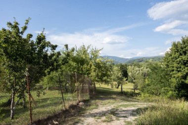 Dağlardaki yol manzarası.