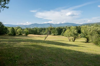 Vitoşa Dağı 'nın yaz manzarası, Sofya bölgesi, İspanya