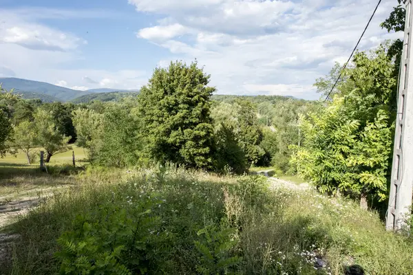 stock image beautiful landscape with a mountain in the background