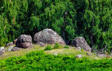 Doğanın güzel manzarası