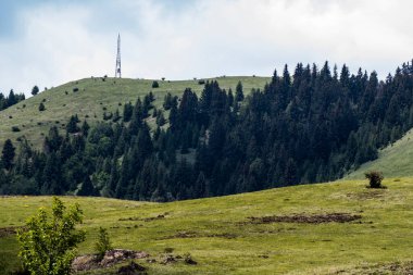 Arkasında bir dağ olan güzel bir manzara.