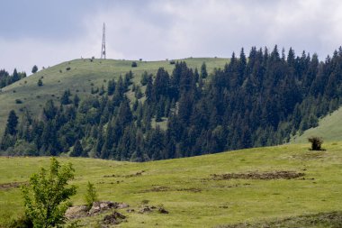Romanya ve Avrupa 'daki Karpat Dağları' nın güzel yaz manzarası