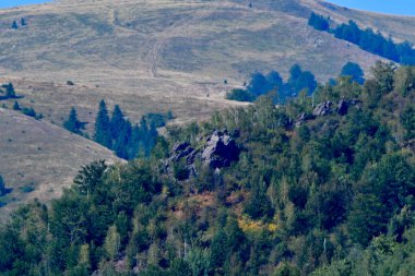Karpatlar 'ın güzel doğası