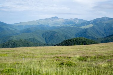 Karpatlar 'da yaz dağları. ukraine.
