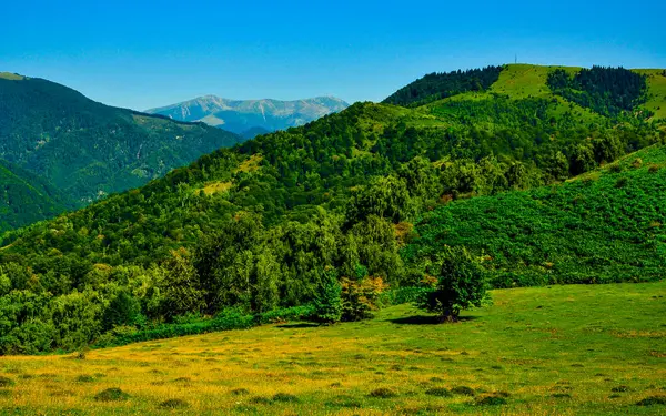 Arkaplanda yeşil tepeler ve dağlar