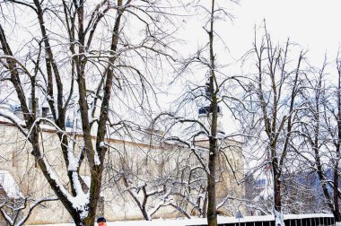 Karla kaplı ağaçlarla kaplı kış manzarası