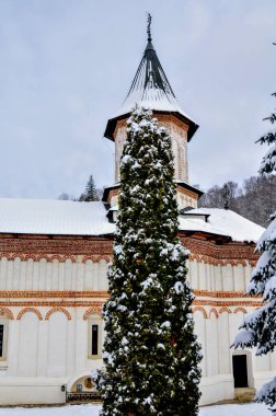 Şehirde kış, ağaçlar ve karlar kaplandı.