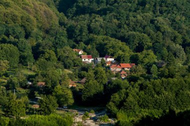 Yeşil ormanın ortasında küçük bir köy.