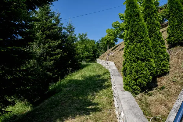 Ormanın içinden geçen bir yol. seyahat kavramı