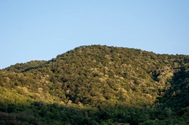 yaz aylarında güzel dağ manzarası