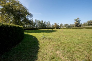 Kırsaldaki yeşil çim tarlası