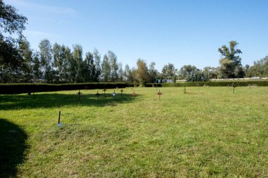 Ormandaki güzel yeşil bir tarlanın manzarası