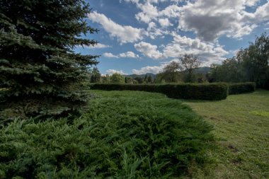Bulutlu bir gökyüzünün altında ağaçlardan ve çalılardan oluşan güzel bir manzara.