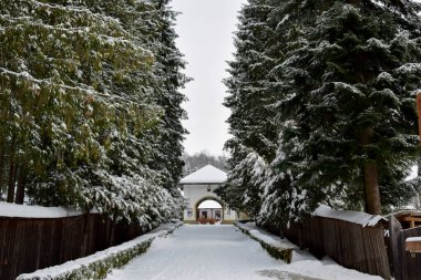 Karla kaplı ağaçlarla kaplı kış manzarası