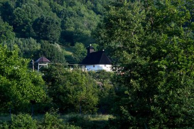 Almanya 'nın Alplerinde bir leerzsee köyü