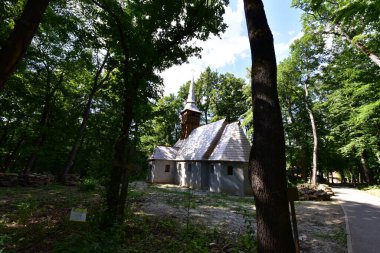 ormandaki eski kilise