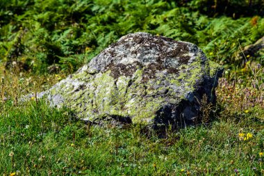 Eski bir taşın yakın çekimi.