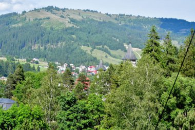 Polonya 'daki Zentzany köyünün manzarası